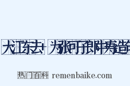 大江东去+为张可子郎中寿造句是什么意思的图片
